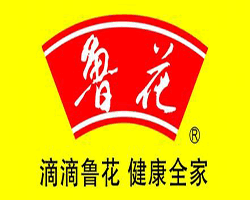  數控花生油全自動灌裝機--山東魯